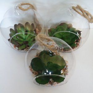 Set of 3 Artificial Succulent Plants in Clear Hanging Terrariums, Fake Greenery